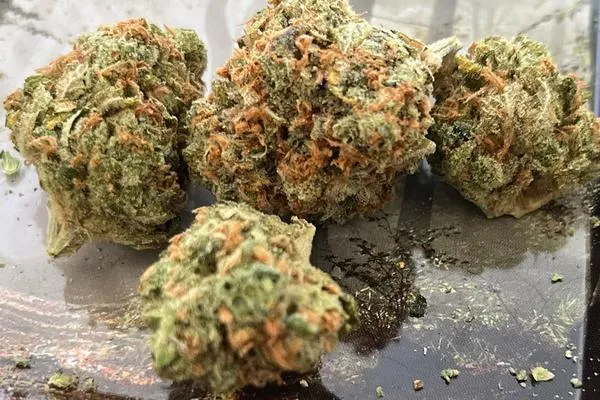 Blue Dream - Hybrid